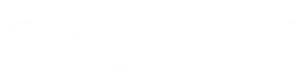 deltix _ Odoo partner